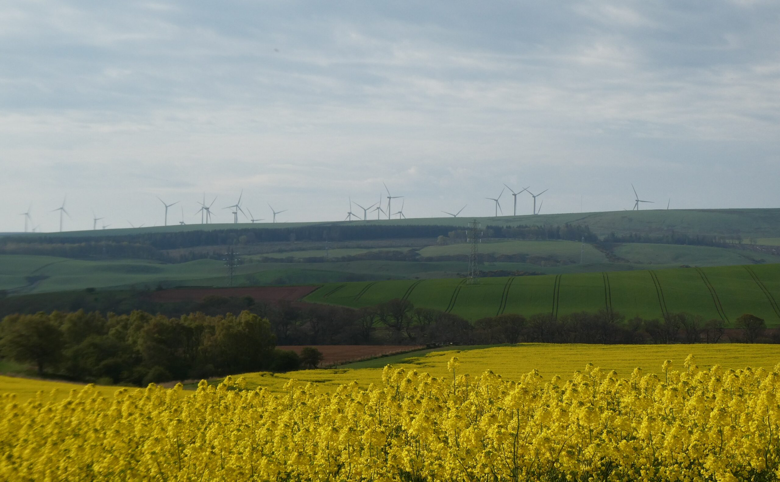 Crystal Rig windfarm in Lammermuir hills