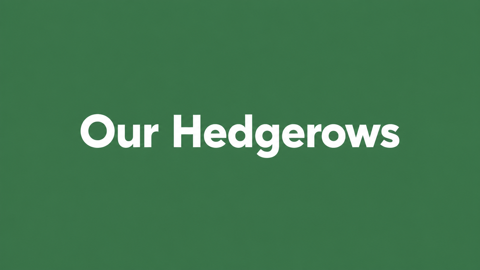 Our Hedgerows